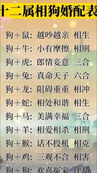猴生肖属相相合（男属猴和女属狗结婚运势好吗❓）