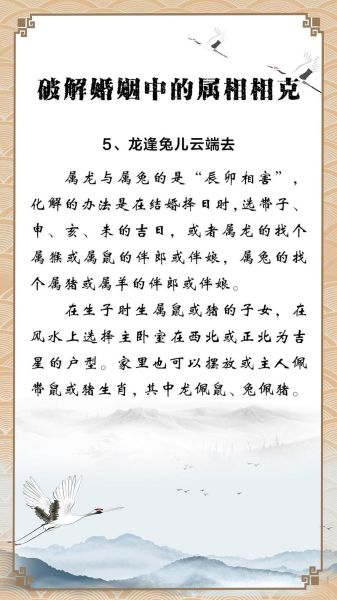 生肖龙和兔属相合不合（龙兔属相真的相冲吗？超直白解答）