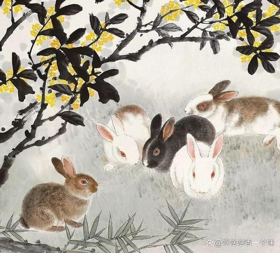 生肖龙和兔属相合不合（龙兔属相真的相冲吗？超直白解答）