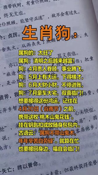 生肖狗和什么属相相刑（属狗相刑生肖有哪些？速查指南📋）