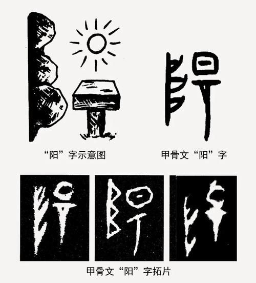 阳字的生肖属相（阳字代表什么生肖？）