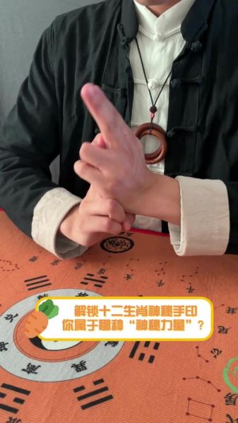 生肖属相手势（十二生肖手势图解一看就会 😎）
