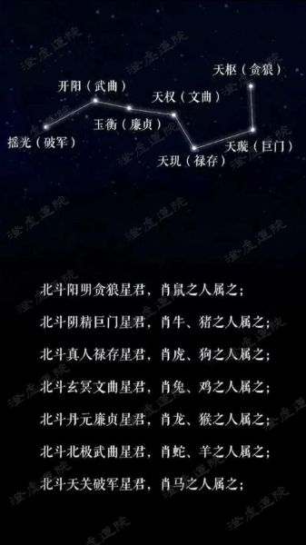 陈星属什么生肖属相