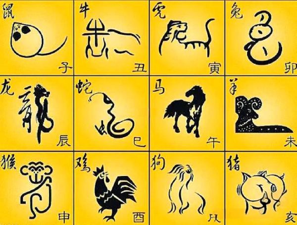 十二生肖哪个属相是牛的（牛在十二生肖排第几位）