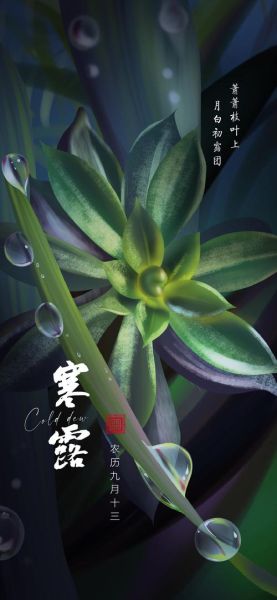 露水的属相生肖（露水到底属什么生肖？初学者也能秒懂！）