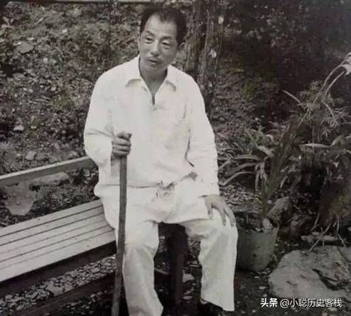 张学良属相属什么生肖呢（张学良属什么生肖）