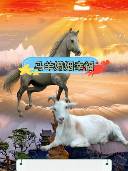 马属什么生肖属相最好（马属什么生肖配对最旺？小白看过来😊）