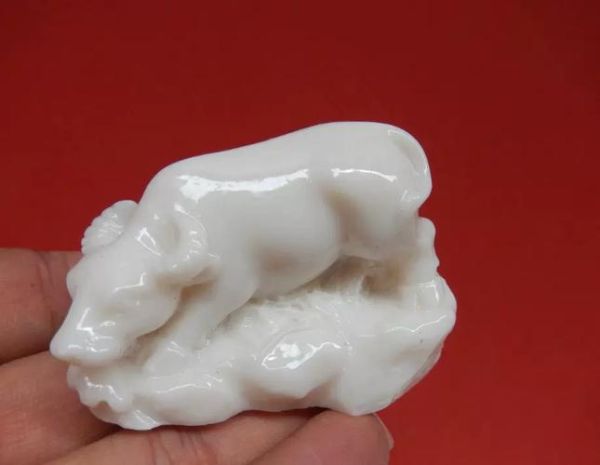 白色的生肖属相（白色生肖有哪些属性与象征）