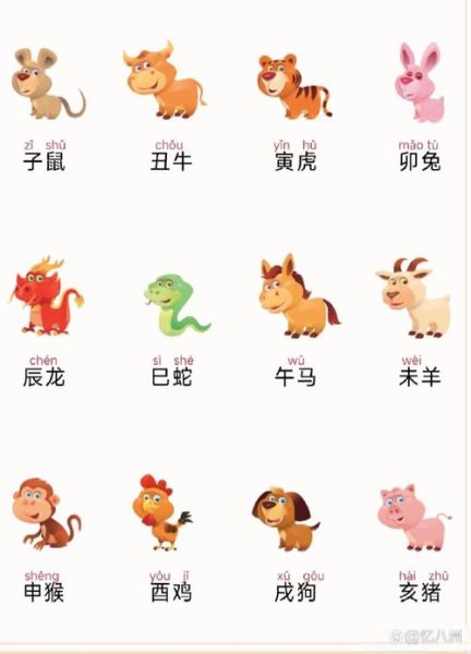 月份生肖对属相（月份生肖属相怎么看）