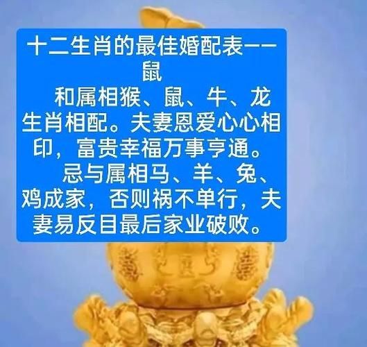 生肖鼠喜欢哪个属相（生肖鼠最佳婚配属相是谁？）