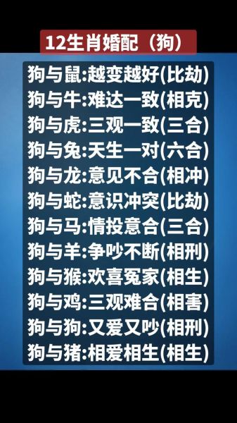 生肖狗男的合婚属相（属狗男最配属相婚姻全攻略）