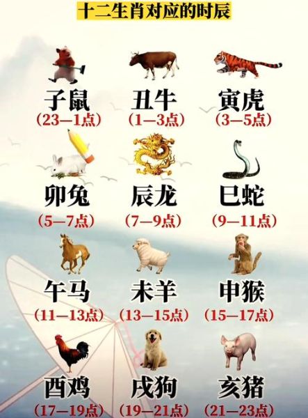 猪年出生时辰生肖属相（猪年出生时辰属相速查表）