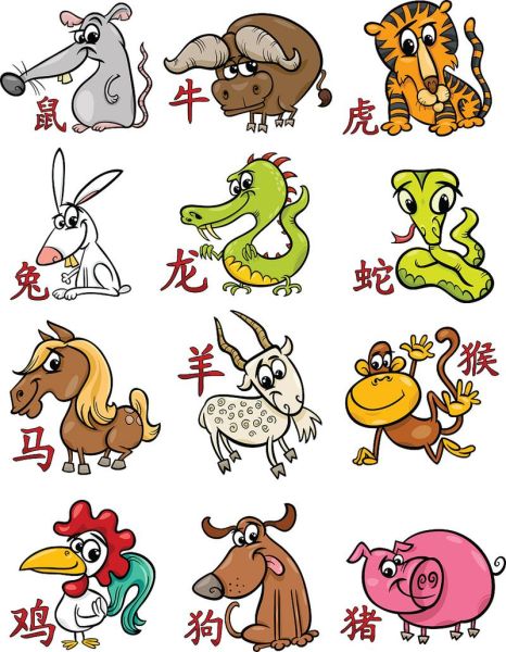 找十二生肖属相图（十二生肖属相图高清大全）