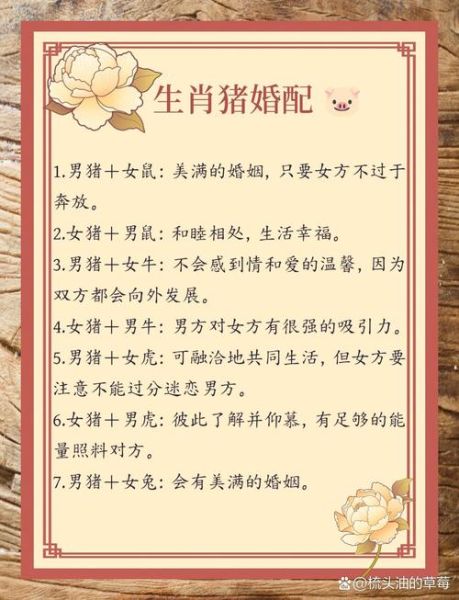 猪年生肖属相相配表（猪年生肖配什么属相最好）