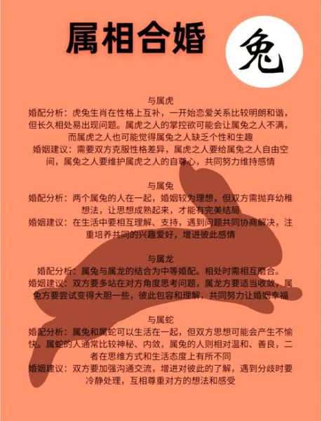 生肖兔财运最佳属相女人（生肖兔女财运最佳配对属相揭秘）