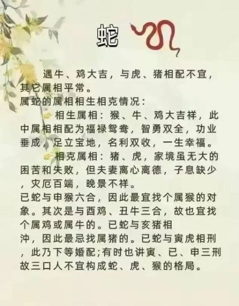 生肖最旺夫妻的属相(最旺夫妻的属相配对🔥)