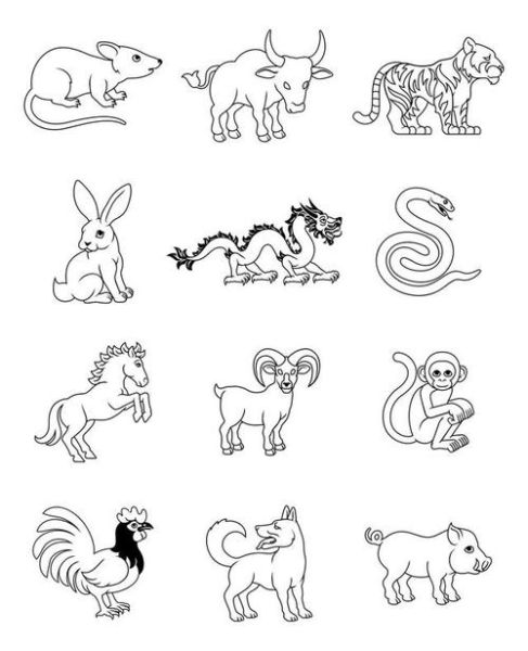 生肖属相简笔画（12生肖属相简笔画步骤图）