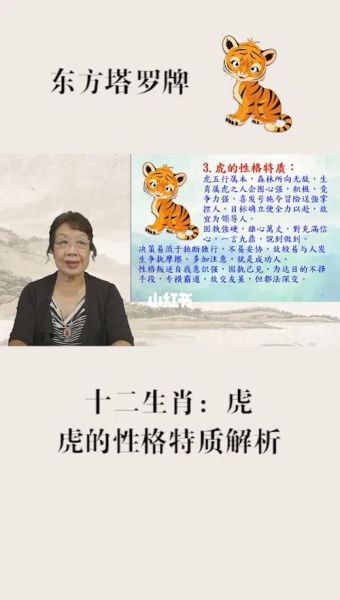 生肖虎的性格属相（生肖虎的性格特点全面解析）