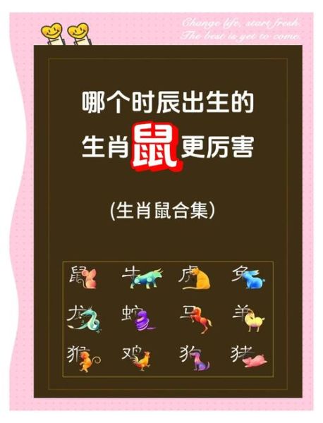 男性十二生肖属相性格（鼠年男性格特点详解）