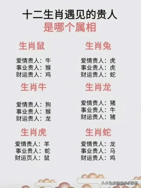 2003年什么生肖属相（2003年出生属什么生肖）