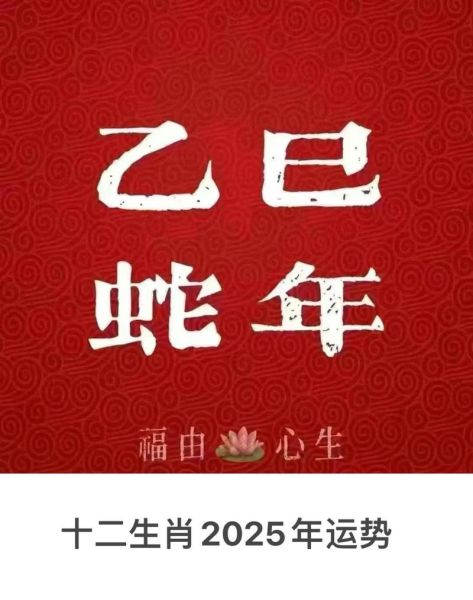 金蛇生肖缺什么属相(金蛇命里缺什么属相?新手一文看懂)