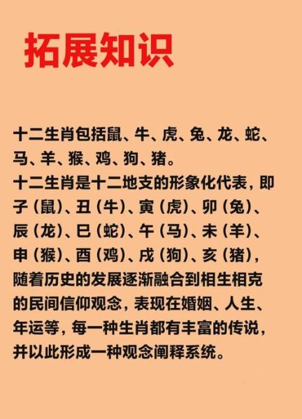 生肖属相翻译（十二生肖属相英文翻译全攻略）