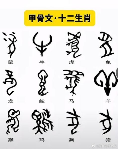 甲是什么属相的生肖（甲是属什么生肖的）