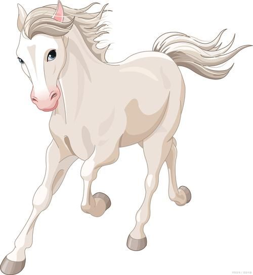 马歇尔属什么生肖属相(马歇尔属什么生肖属相?)