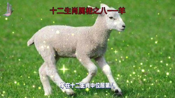 羊的生肖属相(属羊是哪些年份?)