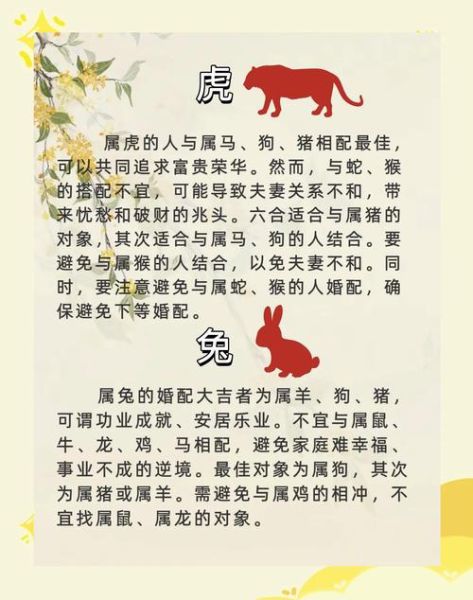 菲律宾生肖属相（菲律宾生肖属相是什么？新手一看就懂！🎋）