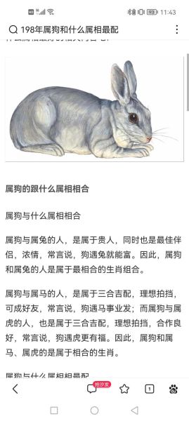 生肖狗子女属相（生肖狗父母生什么属相的宝宝好）