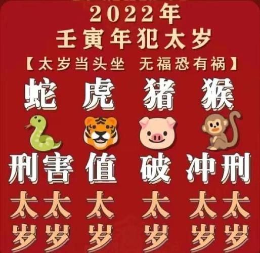 生肖属相每日运势解读(属鼠今日运势怎么样)