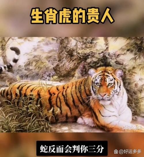 元帅属相是什么生肖（元帅属相揭秘：属虎还是属龙？）