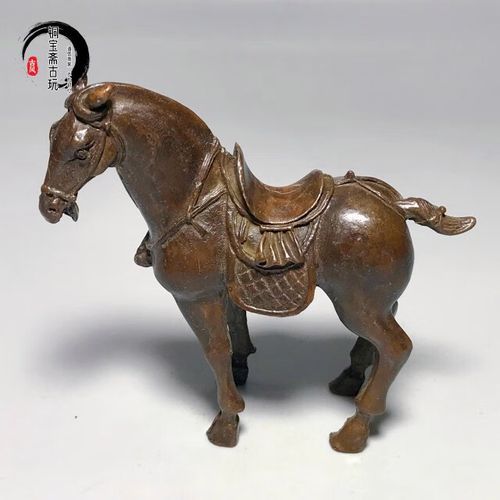 战马狂野属相是什么生肖