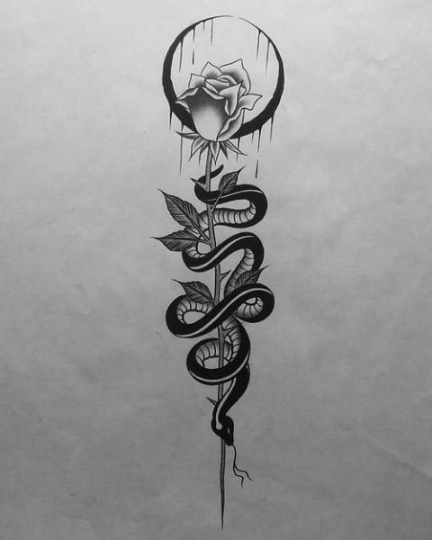 蛇的属相刻的生肖(蛇属相纹身图案怎么选?手把手教你挑)