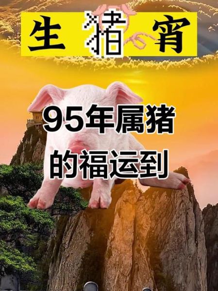 生肖猪相伴的属相（属猪最合的三个贵人属相）