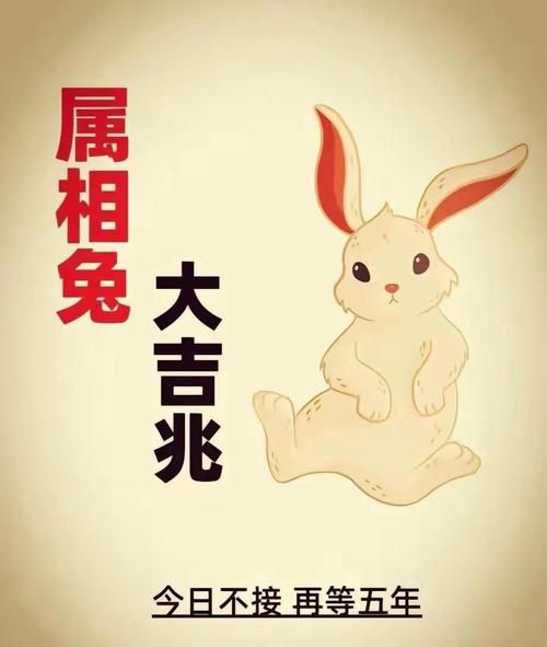 兔子生肖克什么生肖属相（兔年最克哪个生肖？新手防坑指南）
