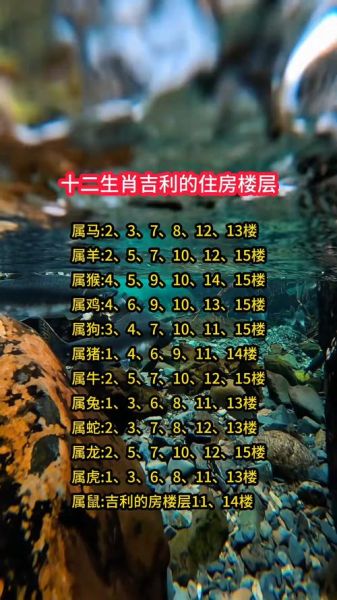 生肖属相配楼层（生肖楼层选择怎么选最好）