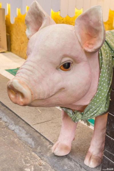 叶正大属什么生肖属相