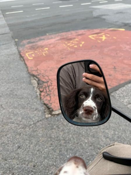 nba球星生肖属相（属马的NBA球星都有谁）