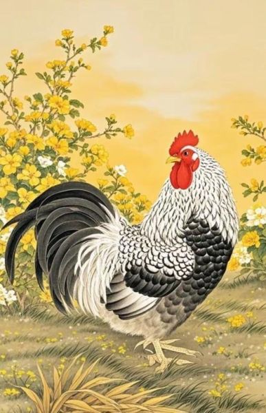 鸡生肖寓意什么属相(鸡生肖寓意什么属相吉利?新手秒懂)