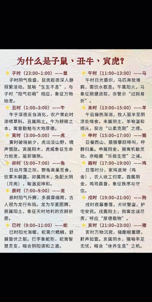 明日生肖属相（明日生肖查询表（每天快速对照））