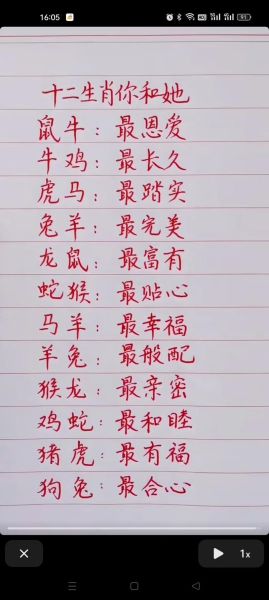 生肖马过后是什么属相（生肖马过后是羊）