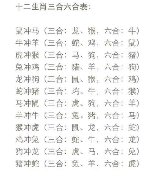 竞选属相才是什么生肖（竞选属相才是什么生肖🧐）