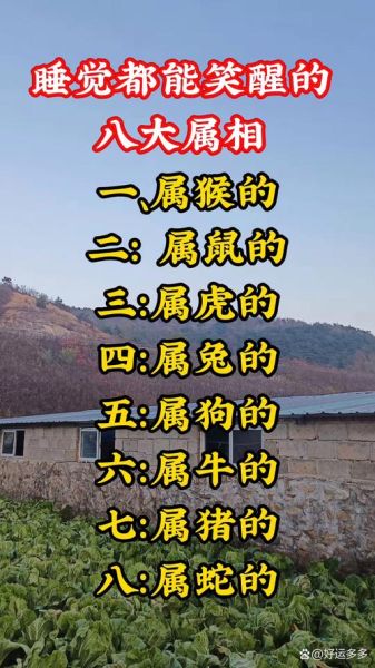 南辕北辙属相是什么生肖(南辕北辙属相是什么生肖?小白也能懂的答案!)