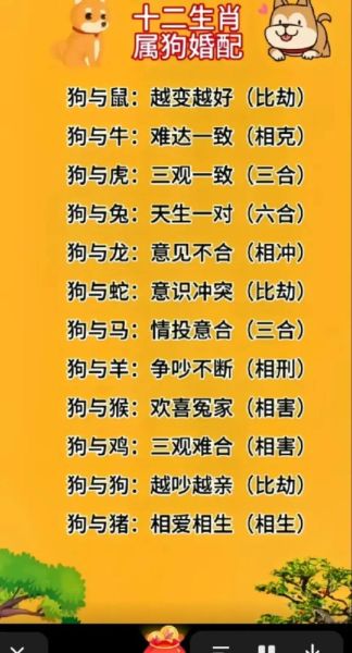 跟狗属相合的生肖(狗生肖和什么生肖最合得来)