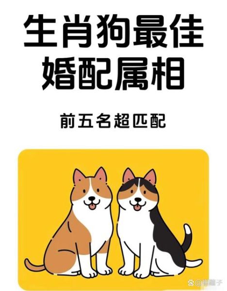 跟狗属相合的生肖（狗生肖和什么生肖最合得来）