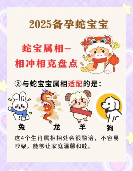 生肖属相结婚装饰蛇（蛇年婚房装饰如何选？小白避坑指南）