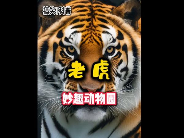 武松什么生肖属相最好（武松属什么生肖的命最好 🐯）