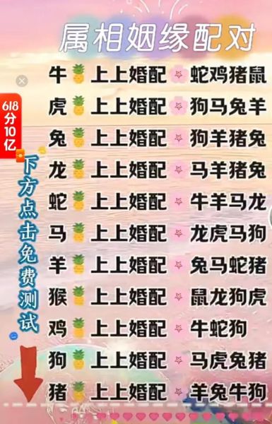 生肖鸡更佳配对属相（生肖鸡最佳配对属相是哪些）